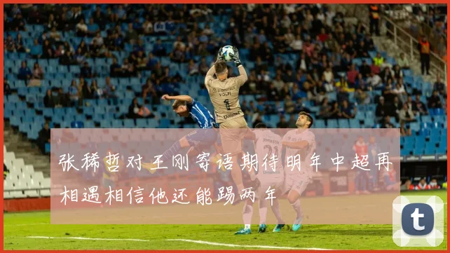 张稀哲对王刚寄语期待明年中超再相遇相信他还能踢两年