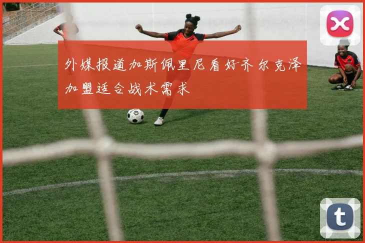 外媒报道加斯佩里尼看好齐尔克泽加盟适合战术需求