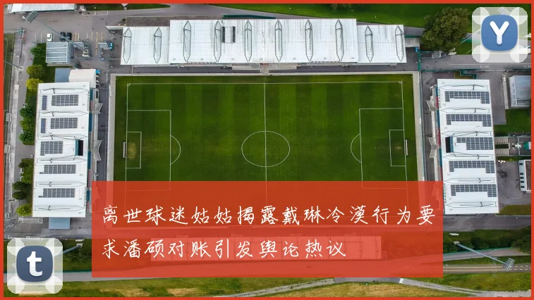 离世球迷姑姑揭露戴琳冷漠行为要求潘硕对账引发舆论热议