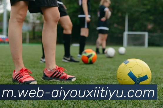 爱游戏体育服务体系